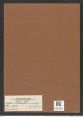 Actinoptychus greundleri A. Schm. (de-Toni-Nr.: Genus 227, Species 5610) Zeichnungen Sammlung Grunow Mappe 05352 (Herbarium_W_Grunow_drawings_Folder_05352)